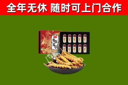 松北回收冬虫夏草价格